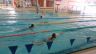 Vložený plavecký závod mezi školami